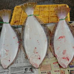 明神釣船 釣果