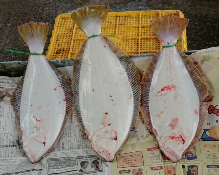 明神釣船 釣果
