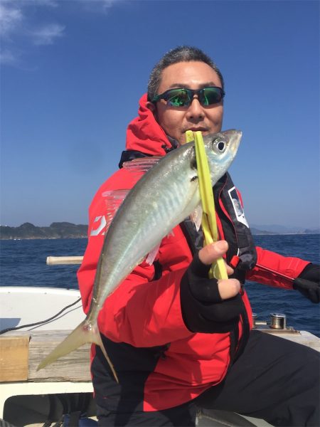 マタウマリンサービス 釣果