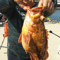 モンロー号 釣果