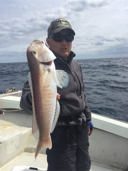 マタウマリンサービス 釣果