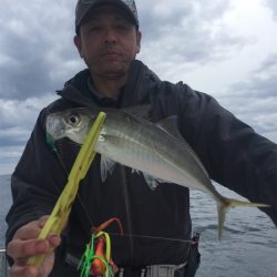 マタウマリンサービス 釣果