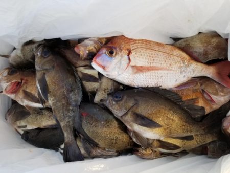 オーフリー 釣果