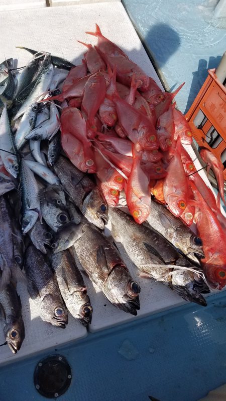 香織丸 釣果
