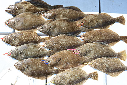 松本釣船２ 釣果