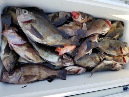 オーフリー 釣果