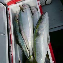 海龍丸（福岡） 釣果