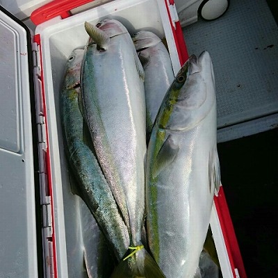 海龍丸（福岡） 釣果