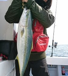 海龍丸（福岡） 釣果