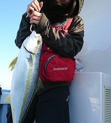 海龍丸（福岡） 釣果