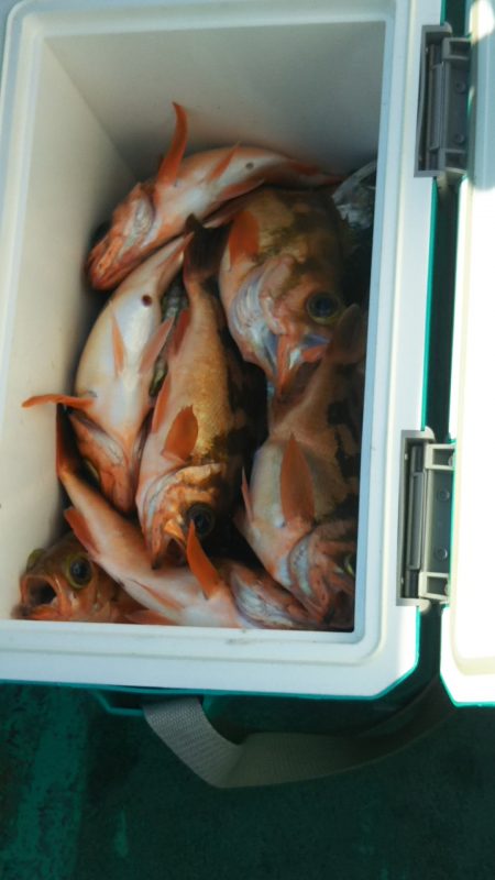 モンロー号 釣果