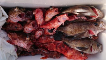 オーフリー 釣果