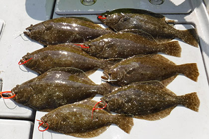 松本釣船2 釣果