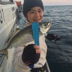 マタウマリンサービス 釣果