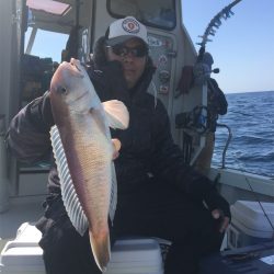 マタウマリンサービス 釣果