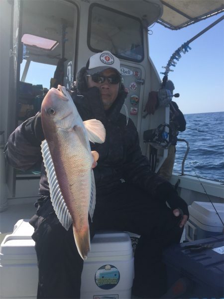 マタウマリンサービス 釣果