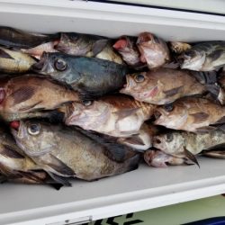 オーフリー 釣果