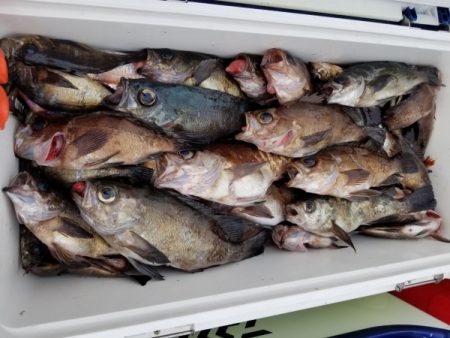 オーフリー 釣果