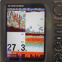 松本釣船2 釣果