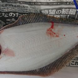 明神釣船 釣果