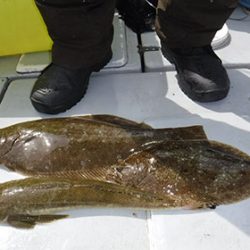 松本釣船２ 釣果