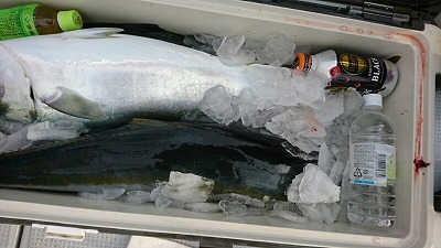 海龍丸(福岡) 釣果