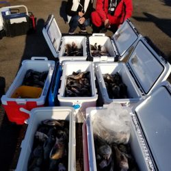 オーフリー 釣果