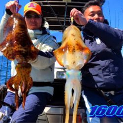 オーシャンマスター 釣果