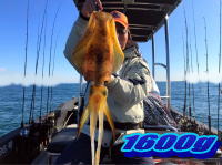 オーシャンマスター 釣果