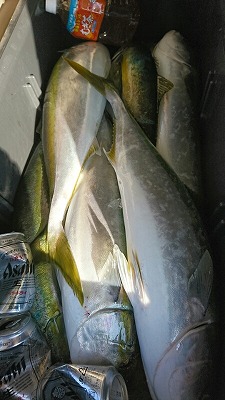 海龍丸(福岡) 釣果