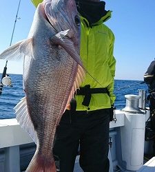 海龍丸(福岡) 釣果