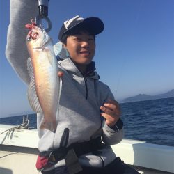 マタウマリンサービス 釣果