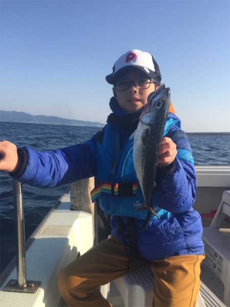 マタウマリンサービス 釣果