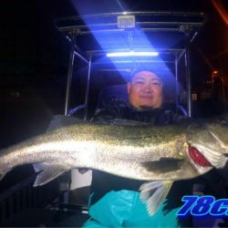 オーシャンマスター 釣果