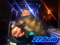 オーシャンマスター 釣果