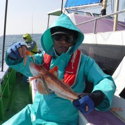 川崎丸 釣果