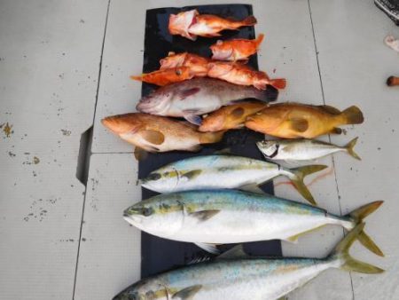 第二一之紀丸(ダイニイチノキマル) 釣果