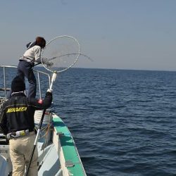 八海丸 釣果