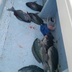 第五慶門丸 釣果