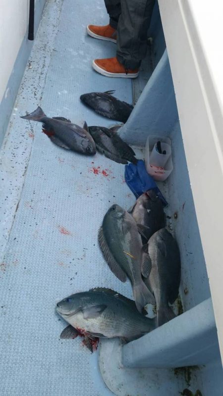 第五慶門丸 釣果