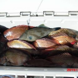 大進丸（新潟） 釣果