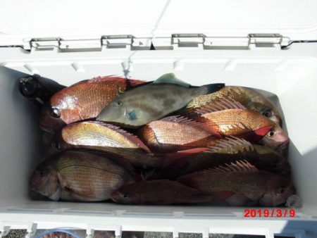 大進丸（新潟） 釣果