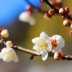 小菅トラウトガーデン 釣果