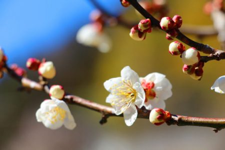 小菅トラウトガーデン 釣果