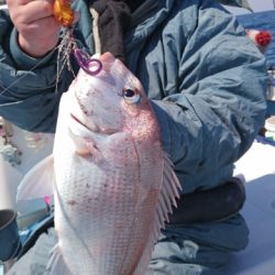 海晴丸 釣果