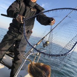 Magic(マジック) 釣果