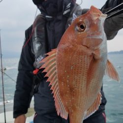 遊漁船 ニライカナイ 釣果