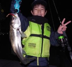 シーマジカル 釣果