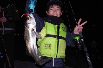 シーマジカル 釣果