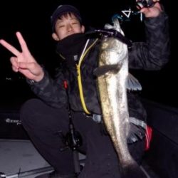 シーマジカル 釣果